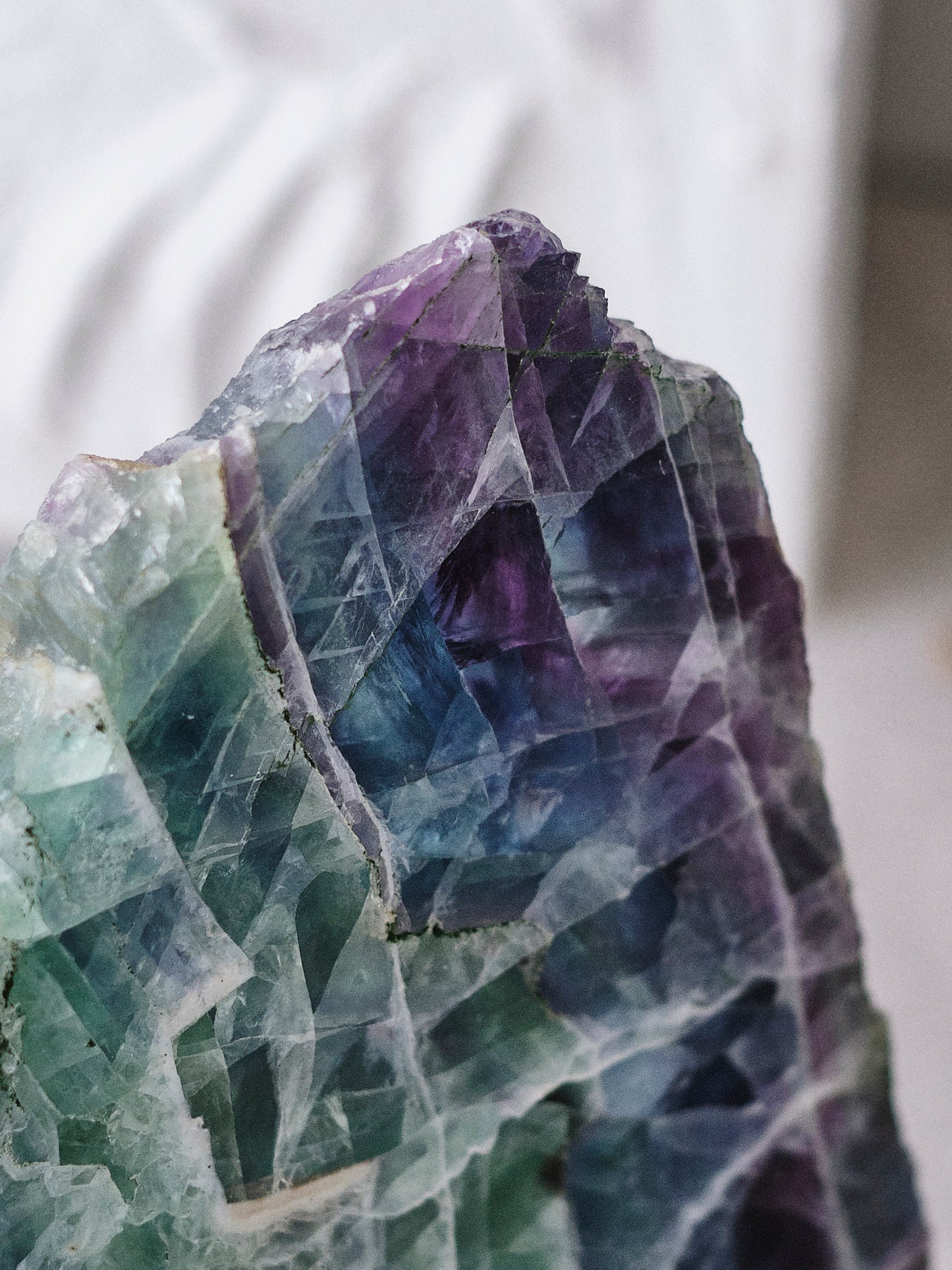 AA Fluorite Slab 2.1kg