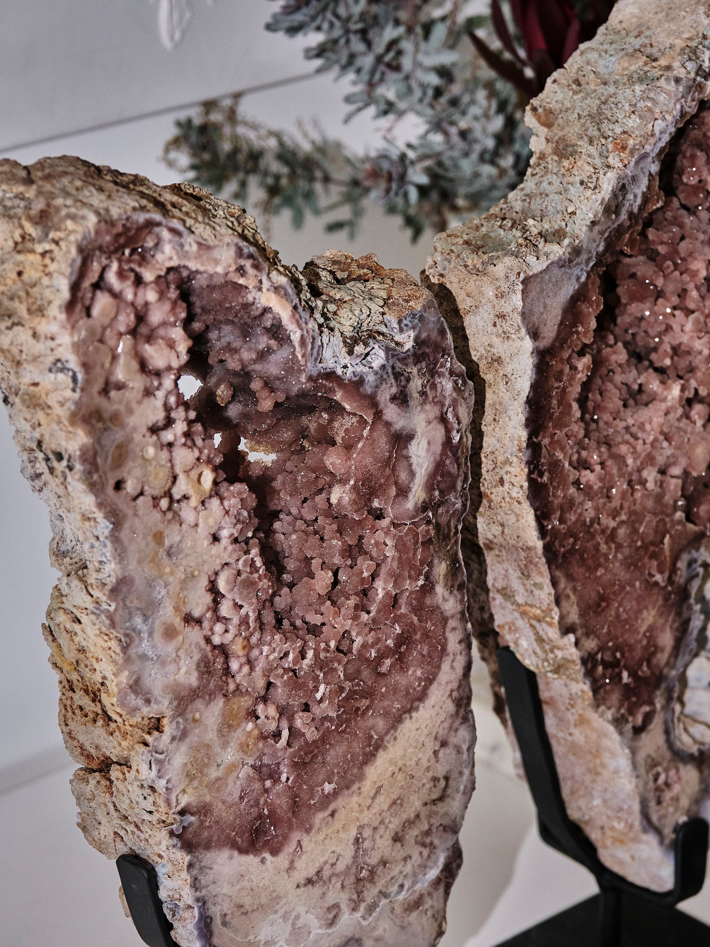 Pink Amethyst Wing Twins 22kgs