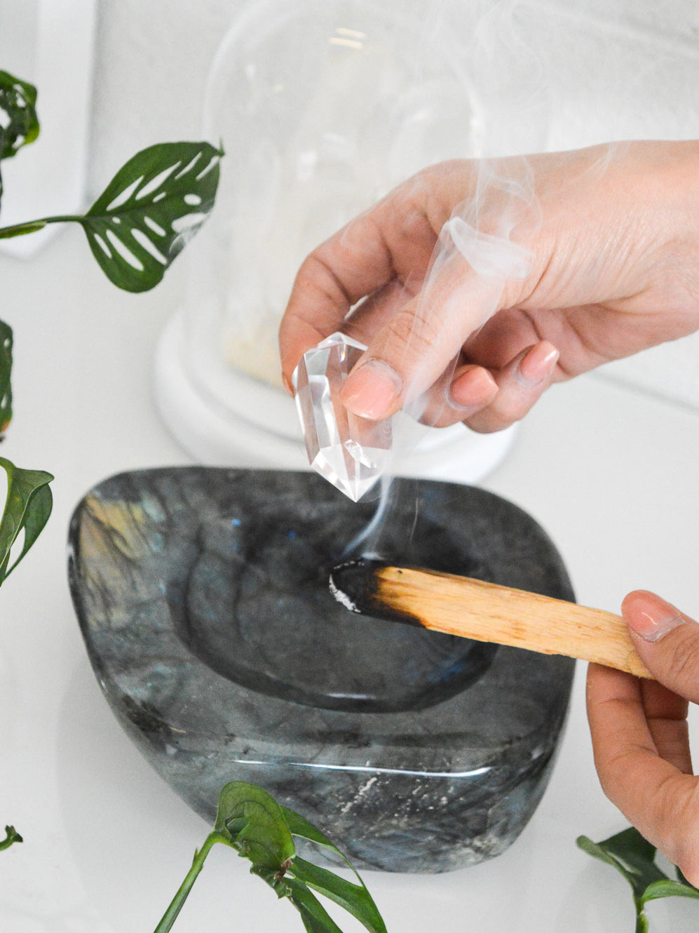 Palo Santo Stick - Ethically Sourced