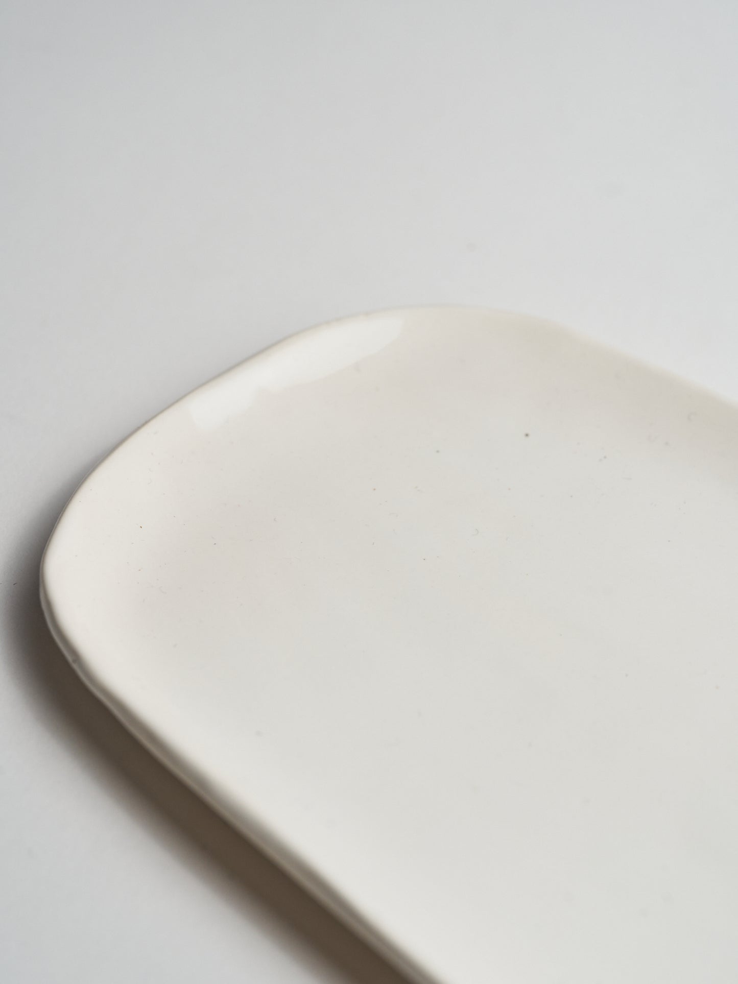 Ceramic Dish Bone Large