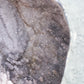 Giant Dark Grey Galaxy Amethyst Cave 57.5kgs